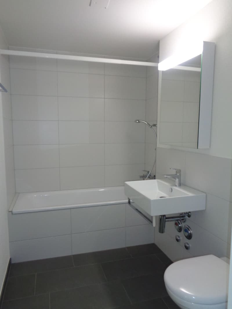 3.5 Zimmerwohnung in Embrach (5)