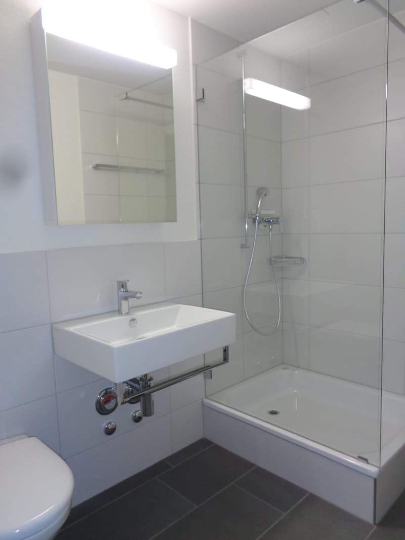 3.5 Zimmerwohnung in Embrach (4)