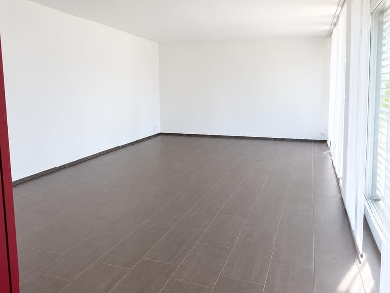 4.5 Zimmerwohnung in Nänikon (5)