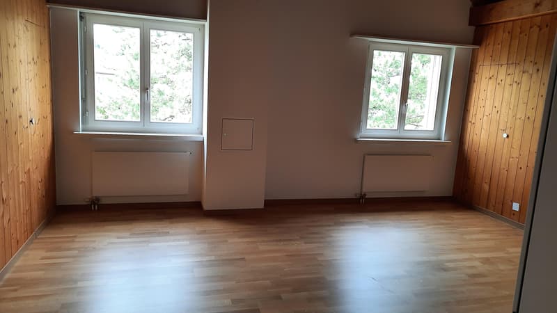 Schöne und "heimelige" Wohnung (7)