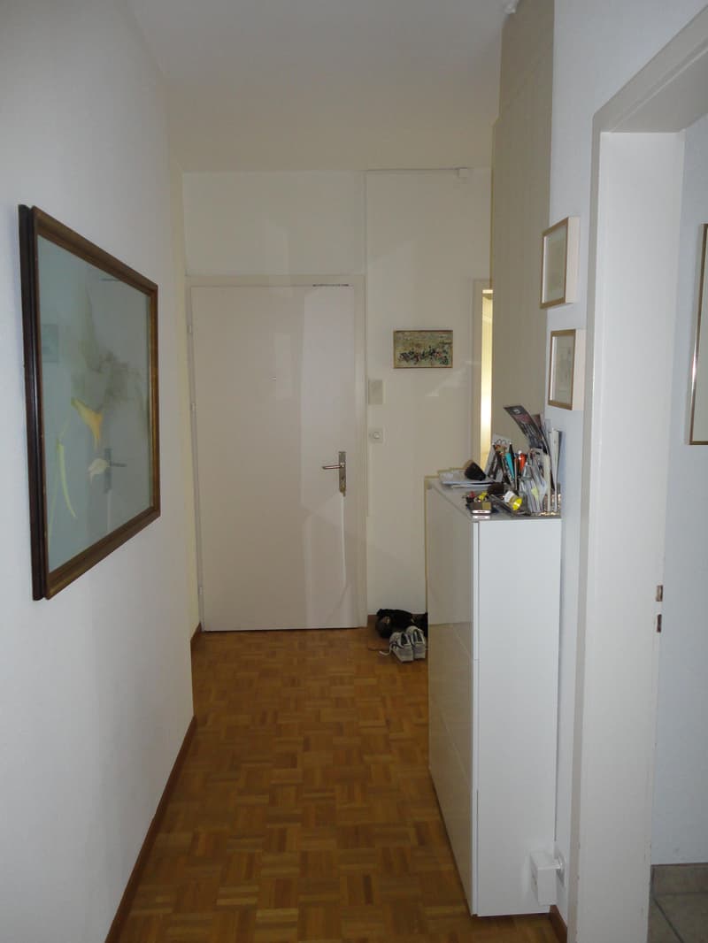 3.0 Zimmerwohnung in Zürich (2)