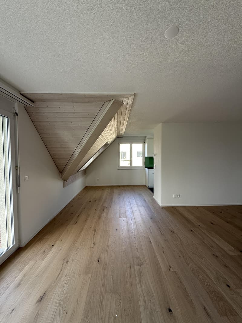 3.5 Zimmerwohnung in Winkel (3)