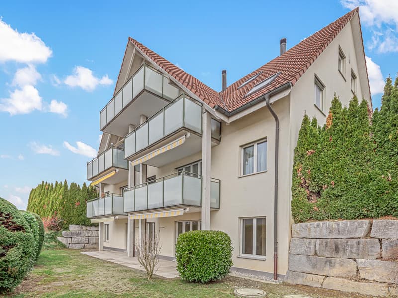 3.5 Zimmerwohnung in Winkel (1)