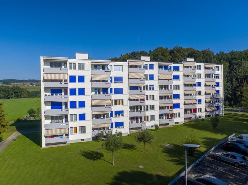 4.5 Zimmerwohnung in Effretikon, 4. OG links (1)
