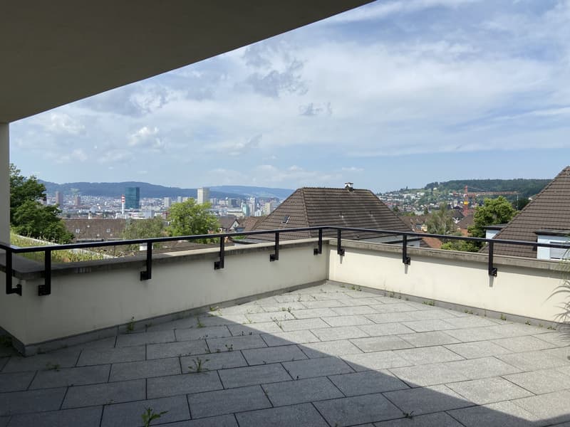 Exklusive Wohnung mit Blick über die Stadt Zürich (1)