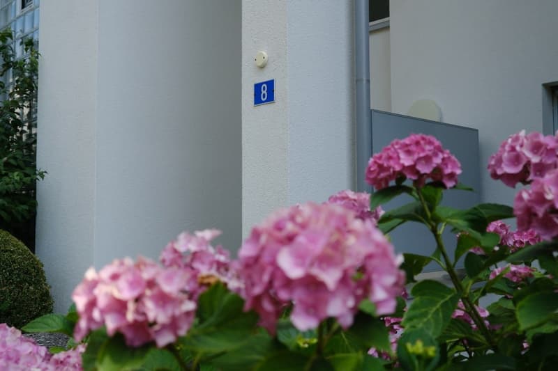 Sonnige 3.5-Zimmer-Wohnung mit herrlicher Weitsicht auf der Forch, Küsnacht (2)