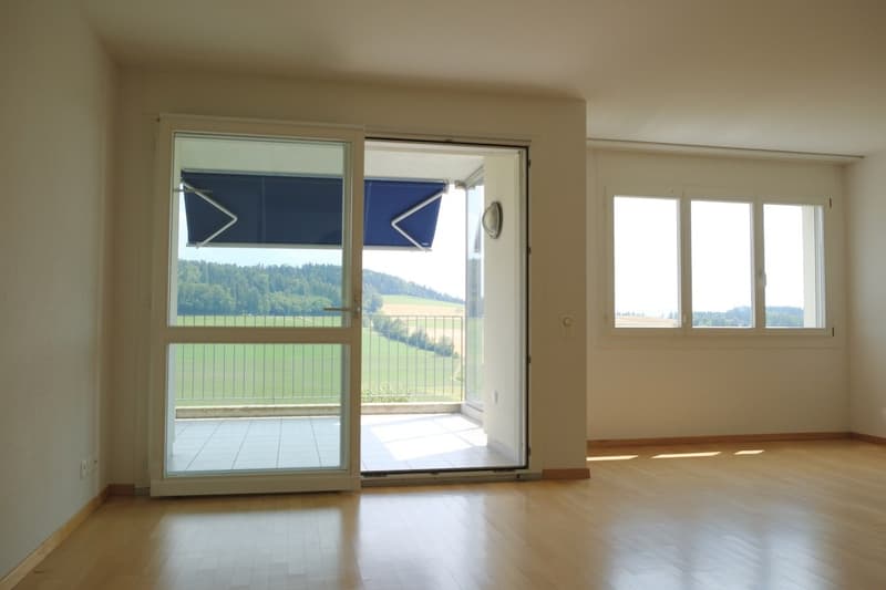Sonnige 3.5-Zimmer-Wohnung mit herrlicher Weitsicht auf der Forch, Küsnacht (10)