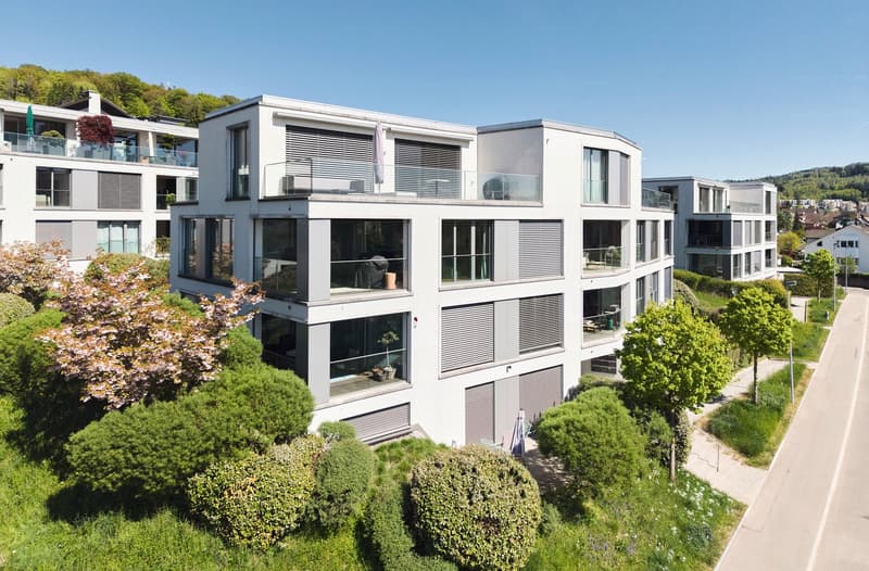 Exklusive 3.5-Zimmer-Wohnung mit unverbaubarer Weitsicht und sonniger Loggia in Uitikon (1)