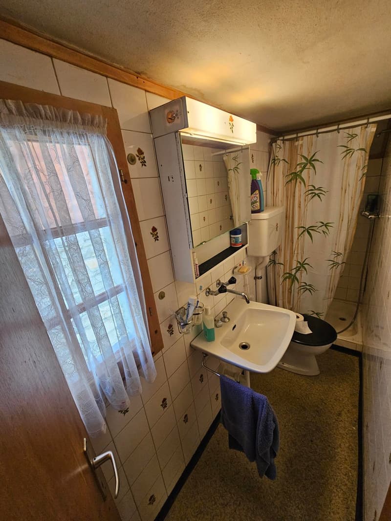 Charmante 2-Zimmer-Wohnung an idyllischer Berglage (4)