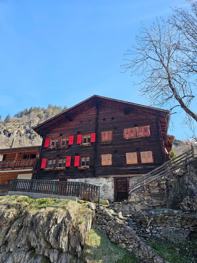 Charmante 2-Zimmer-Wohnung an idyllischer Berglage (2)