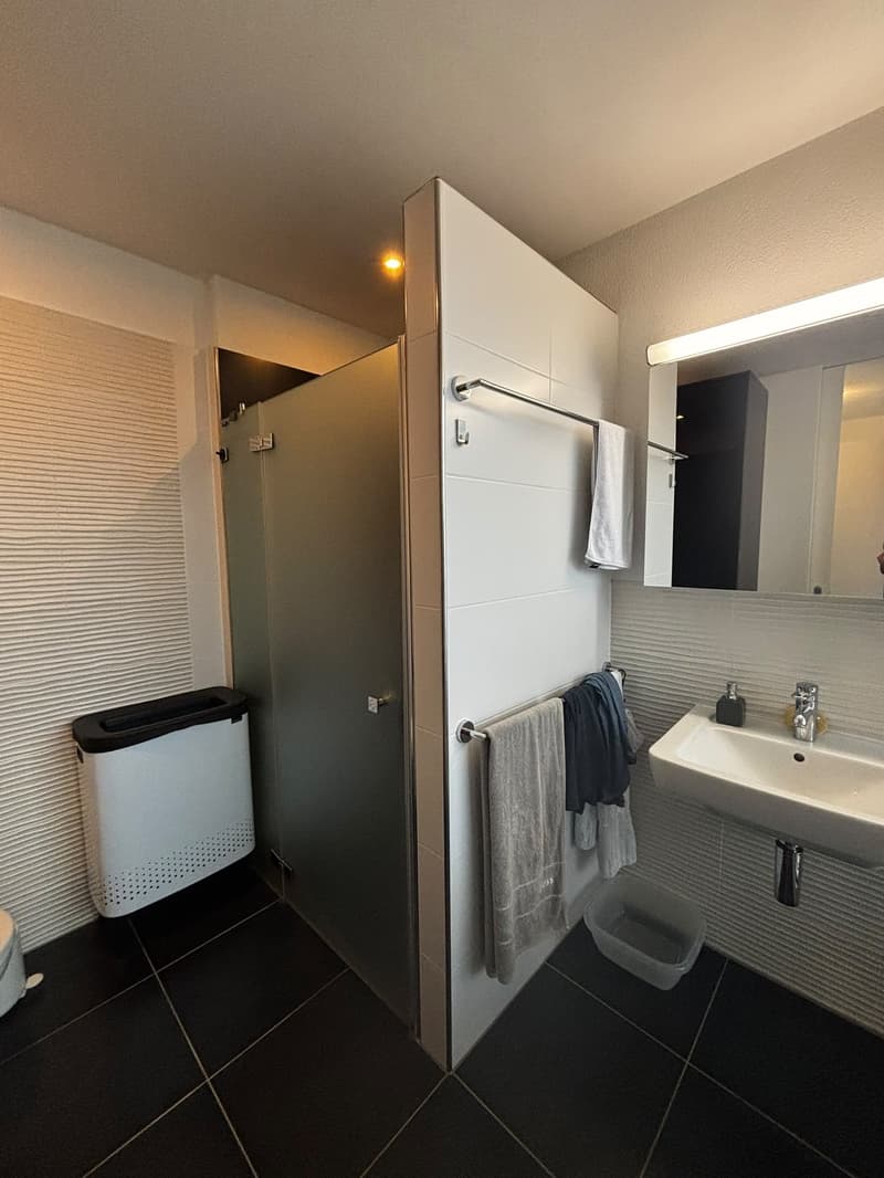 Moderne 3.5-Zimmer-Wohnung mit zwei Terrassen in Zürich 8057 (4)