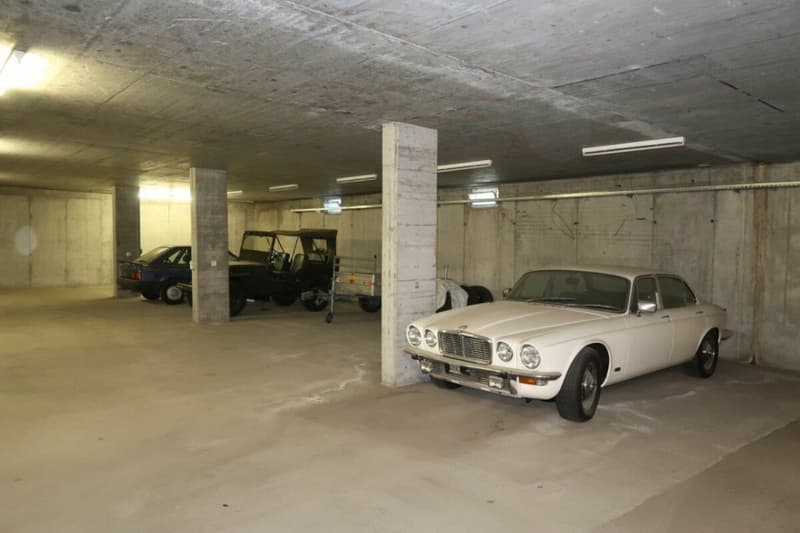 Diverse Autoeinstellplätze in Valata (7)