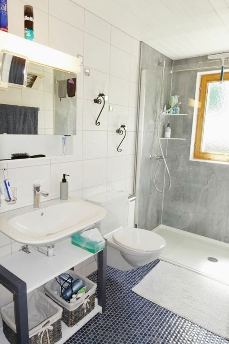 Die Nasszelle mit Lavabo, Toilette und Dusche.