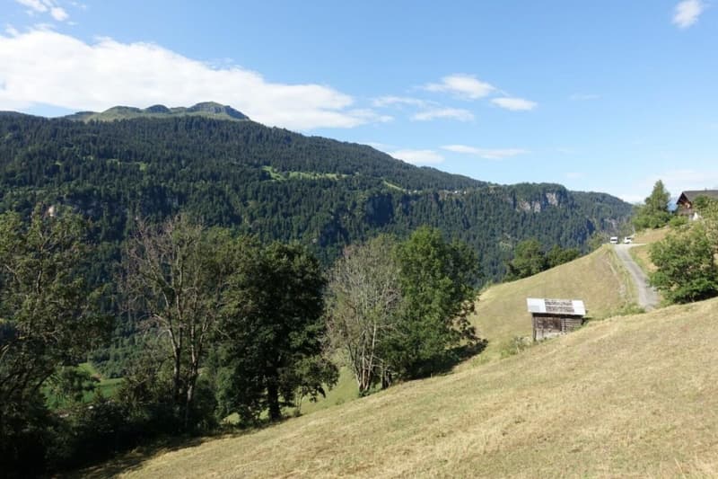 Die Bauparzelle
