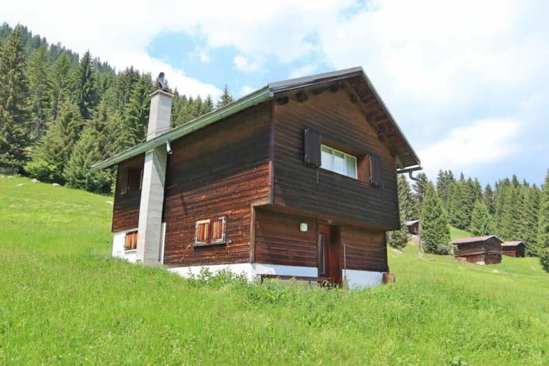 Das Maiensäss «Casa Alpina» (2)
