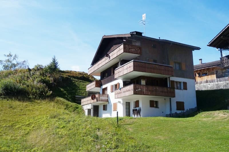 Das Haus