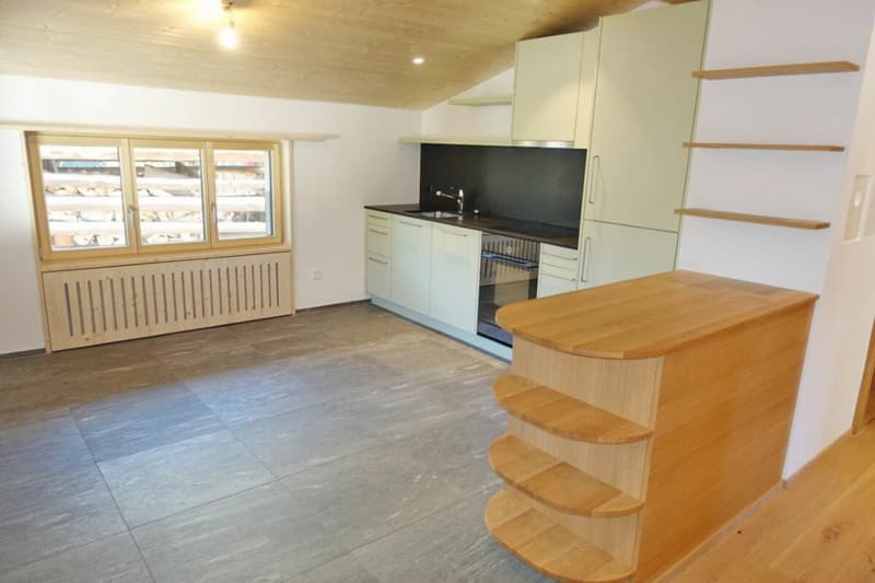 Die neue und moderne Küche