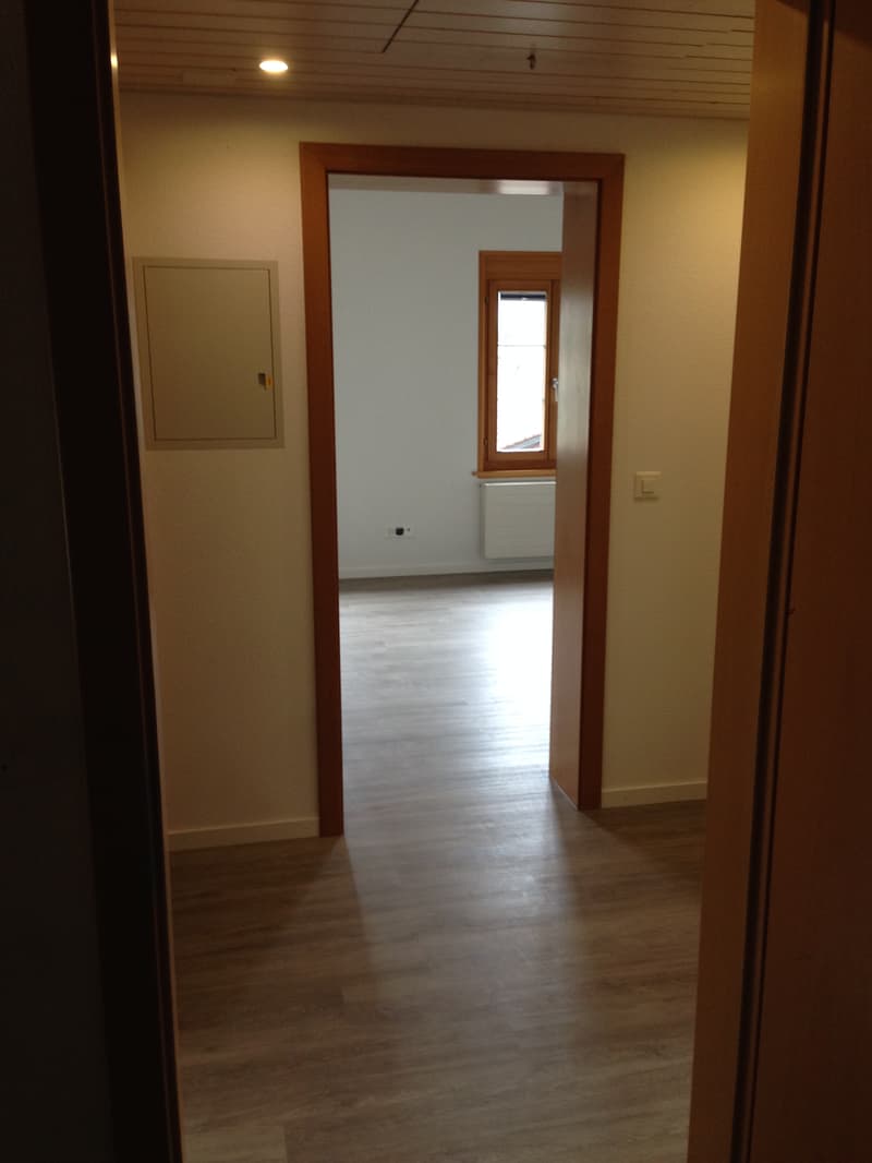 Gemütliche Wohnung mit exklusiver Terrasse (7)