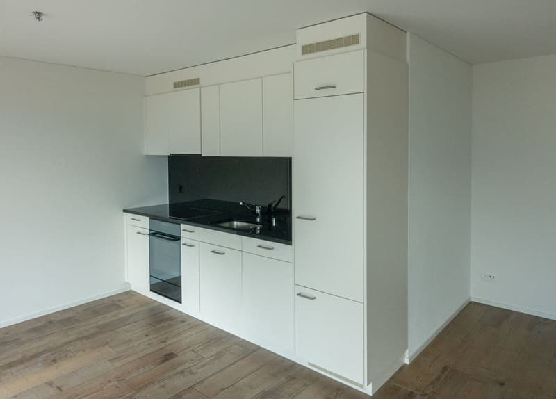 Helle 2.5-Zimmer-Wohnung mit Balkon und Bergblick in Glarus Nord (2)