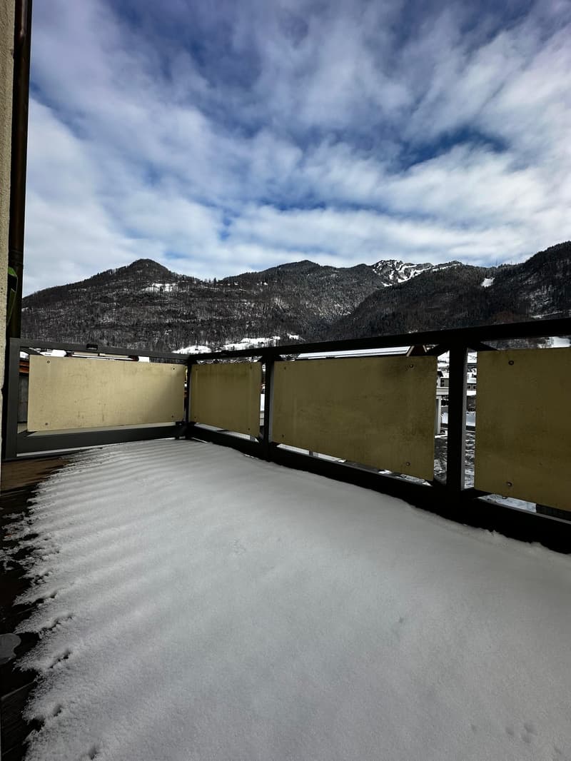 Gemütliche Wohnung mit grosszügigem Balkon (6)