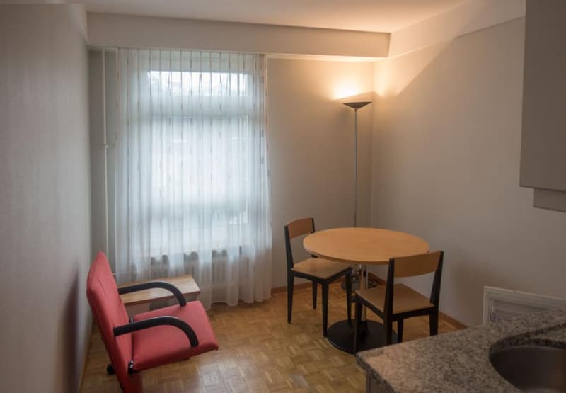 Möbliertes 1-Zimmer-Studio in Glarus zu vermieten (1)