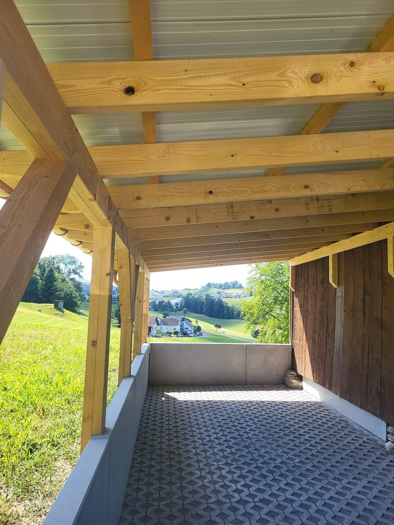 Holzmagazin in Freienbach, ideal als Lager oder Werkstatt (4)