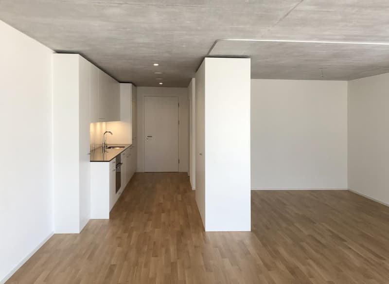 Zentral gelegene gediegene Wohnung (5)