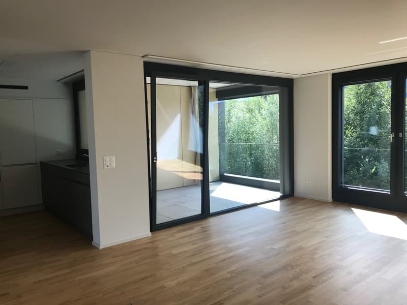 Wohnung in familienfreundlicher Überbauung an guter Lage zu vermieten (4)