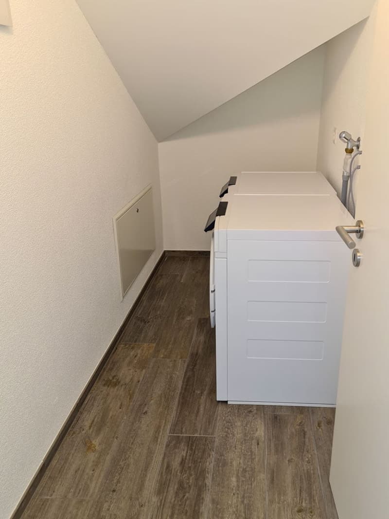 Attraktiv Wohnen im Glarner Hinterland (8)