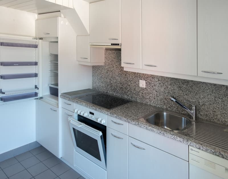 gemütliche Wohnung an zentraler Lage (4)