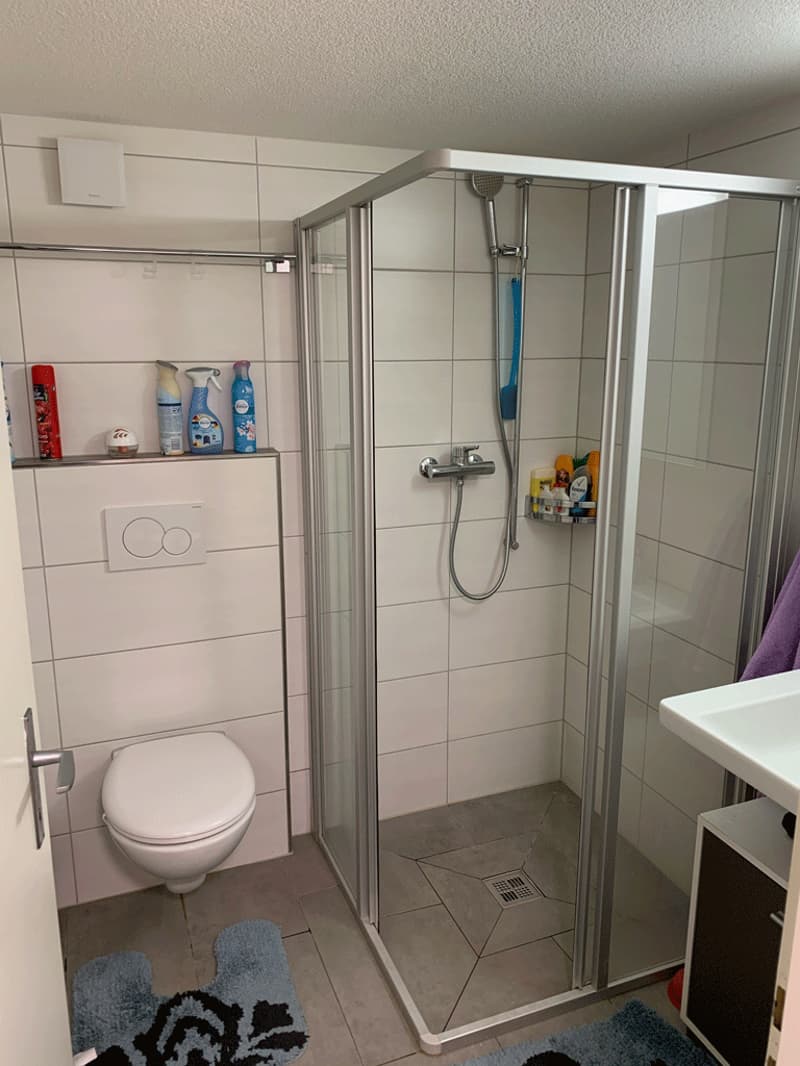 kleine, gemütliche 2-Zimmerwohnung zu vermieten im Zentrum von Ennenda (7)