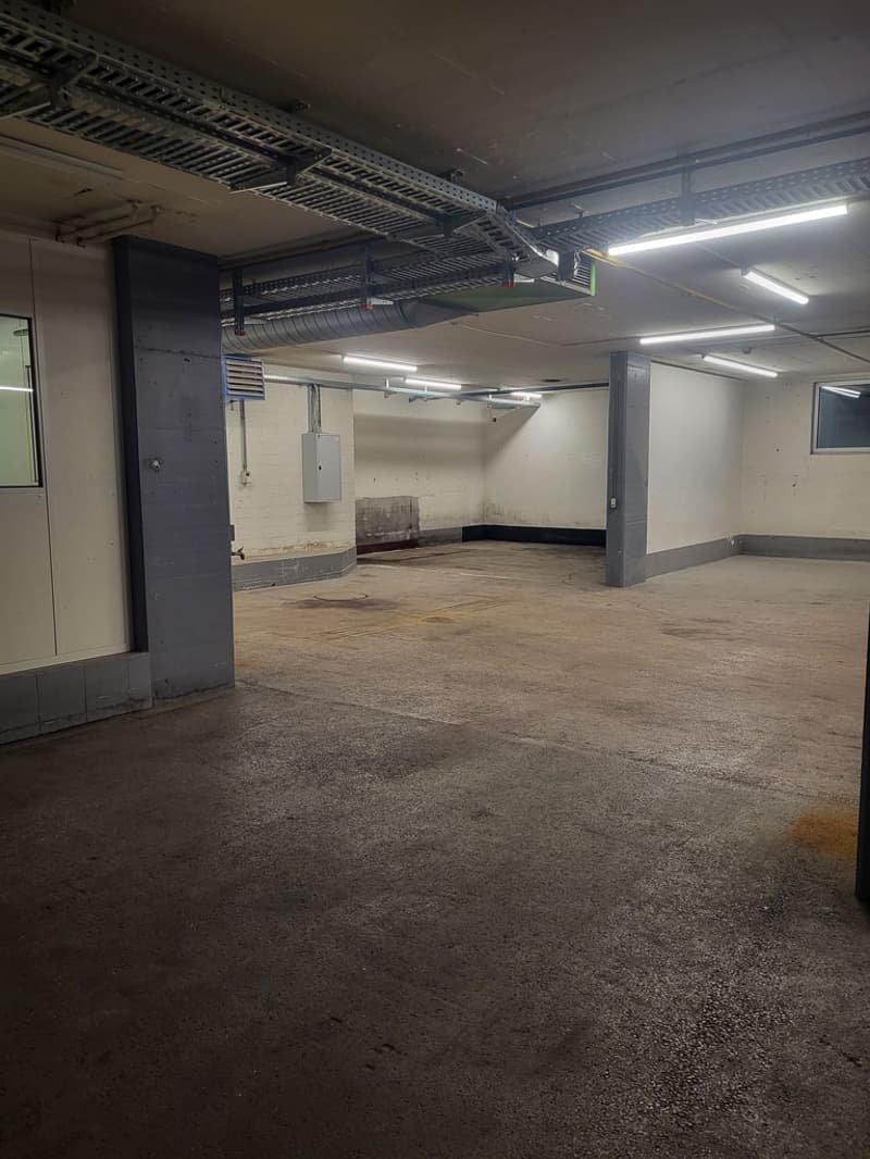 Grosszügiger Gewerberaum mit Büro & Tiefgaragenparkplätzen (3)