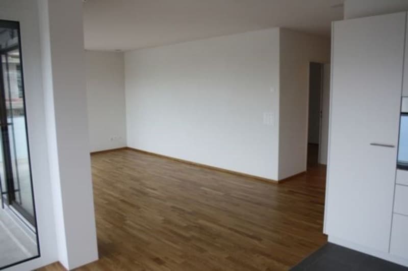 2,5-Zimmerwohnung in Scherzingen (4)