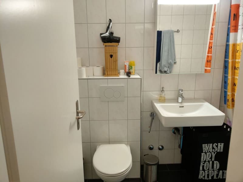Ruhige Wohnung im 2. OG (5)