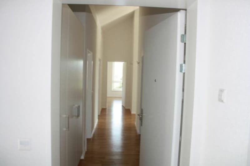 Sonnige 4.5-Zimmer-Dachwohnung mit Eigentumswohnungsstandard (3)