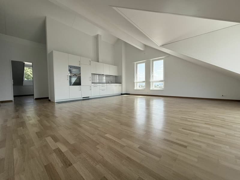 Sonnige 4.5-Zimmer-Dachwohnung mit Eigentumswohnungsstandard (4)