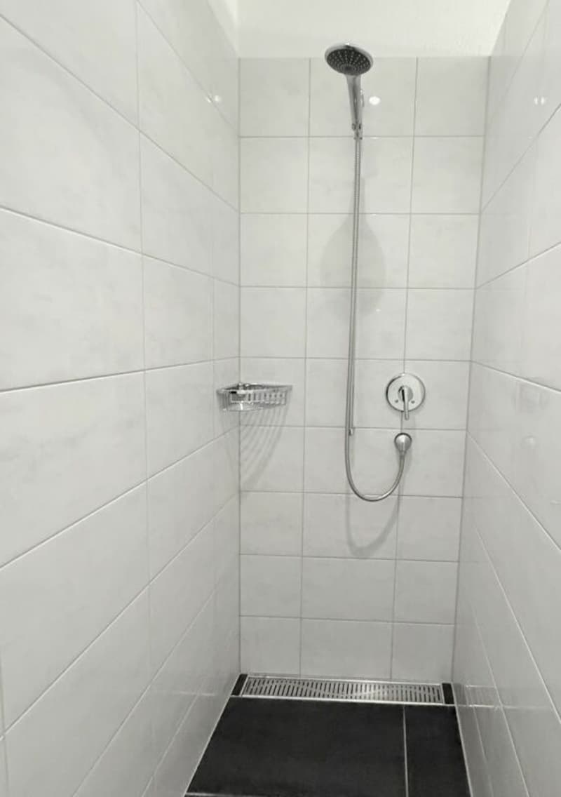 Sonnige 4.5-Zimmer-Dachwohnung mit Eigentumswohnungsstandard (17)