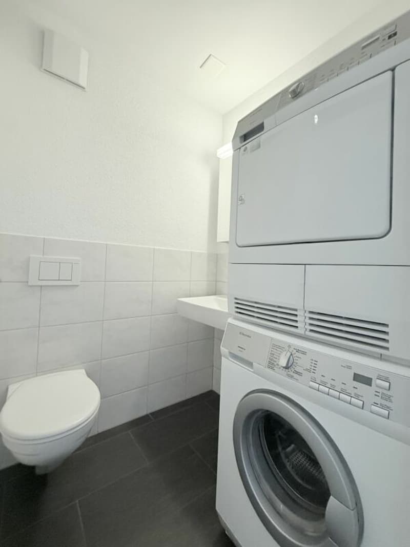 Sonnige 4.5-Zimmer-Dachwohnung mit Eigentumswohnungsstandard (14)