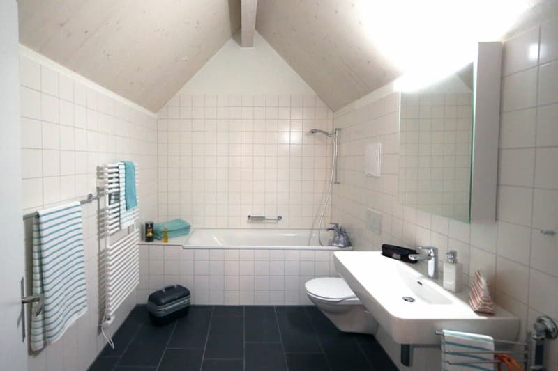 Grosses Badezimmer mit Spiegelschrank