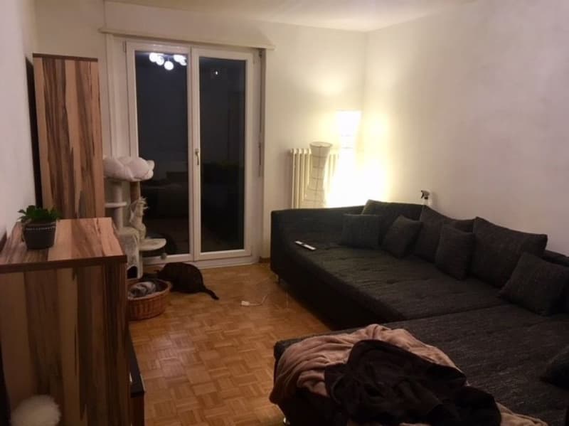 Ruhige 3 Zimmer-Wohnung im 3. OG, Nähe Schwimmbad (3)