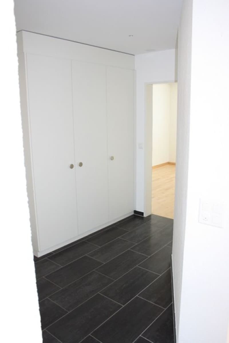 Grosszügige 4.5-Zimmerwohnung (7)