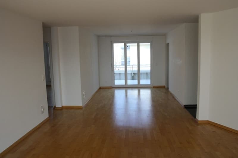 Grosszügige 4.5-Zimmerwohnung (4)