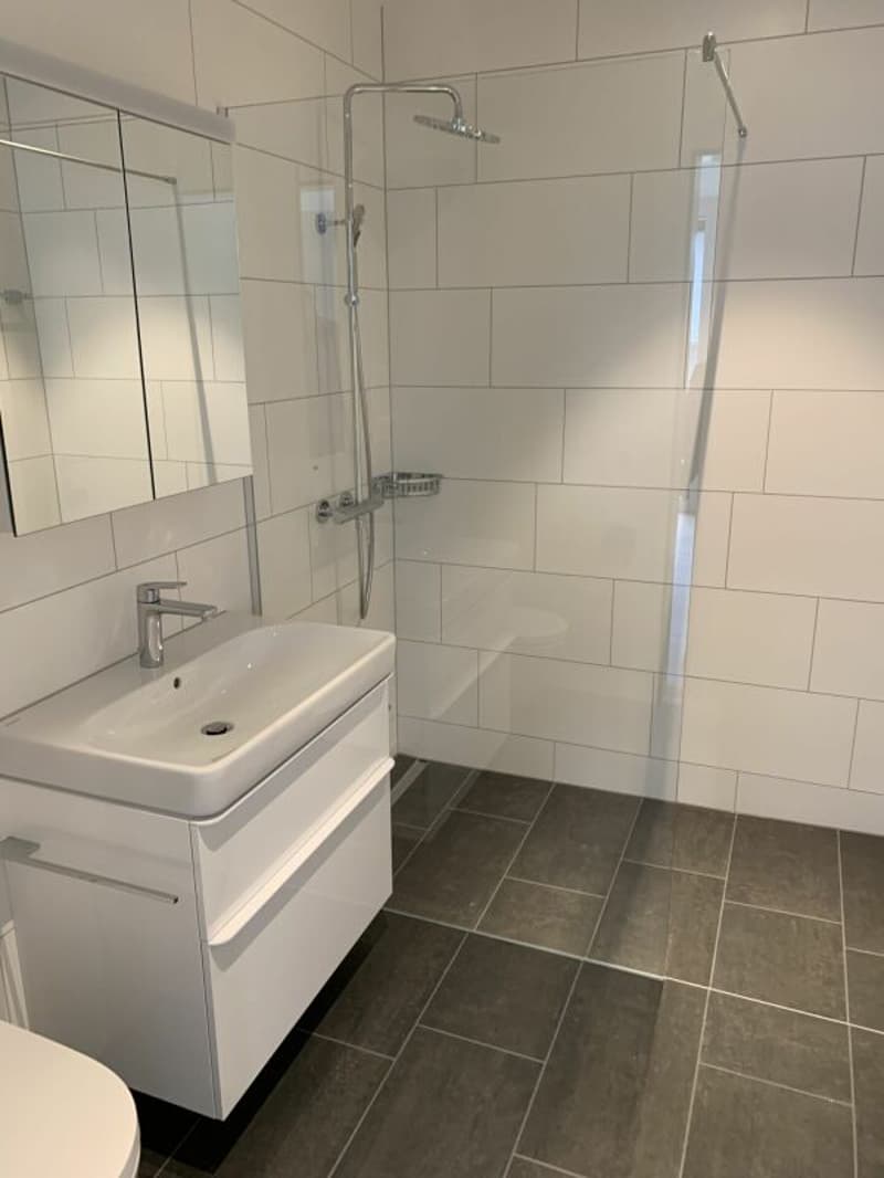 4.5-Zimmer-Wohnung (3)