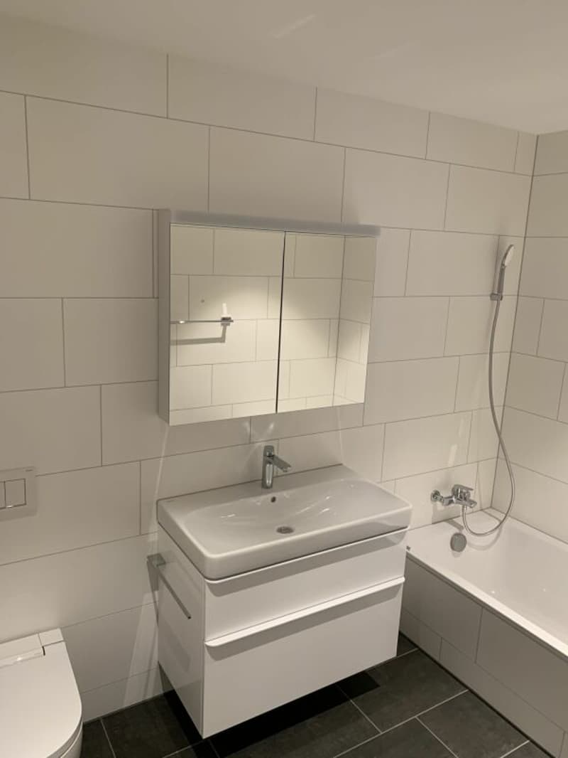 3.5 Zimmer-Wohnung (6)