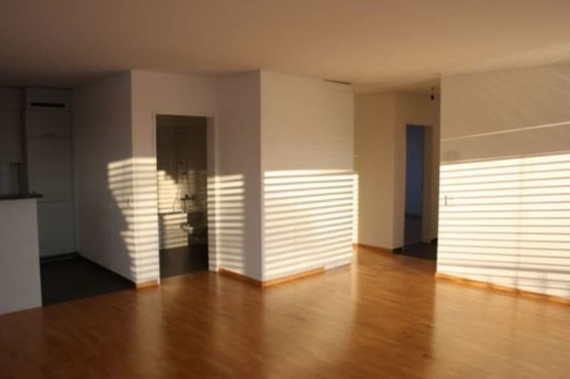 Sonnige 3.5-Zimmer Attikawohnung (4)