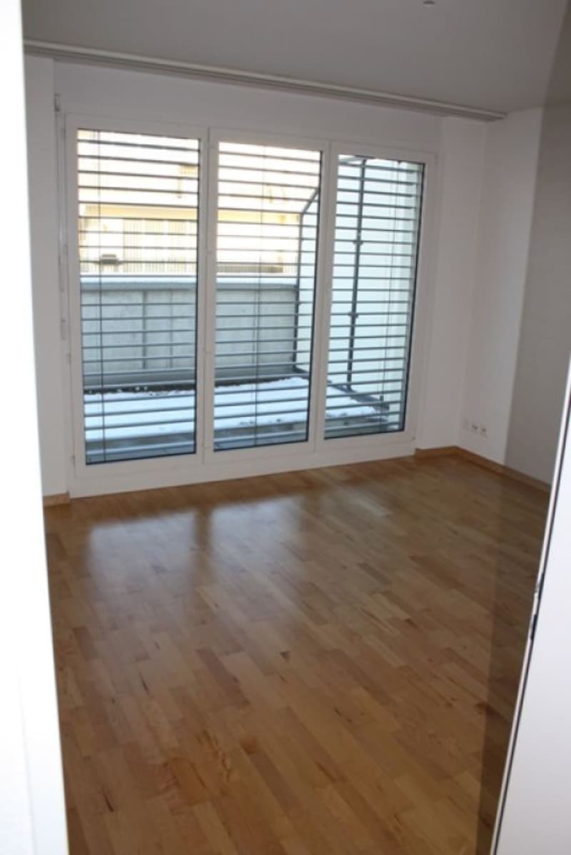 Sonnige 3.5-Zimmer Attikawohnung (6)