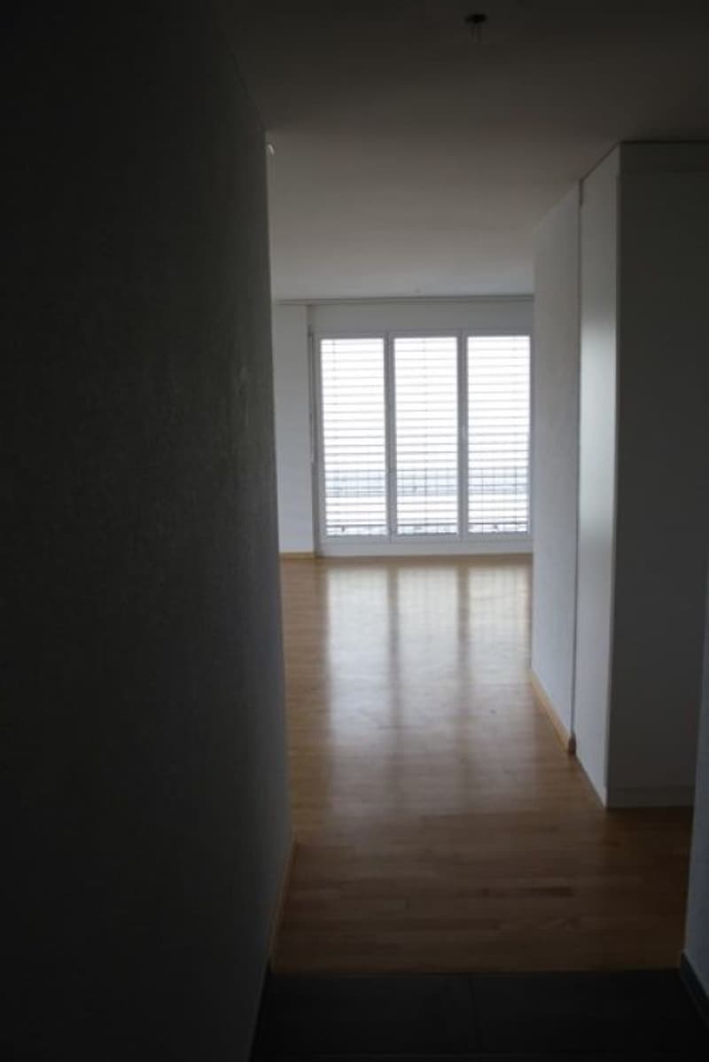 Sonnige 3.5-Zimmer Attikawohnung (5)