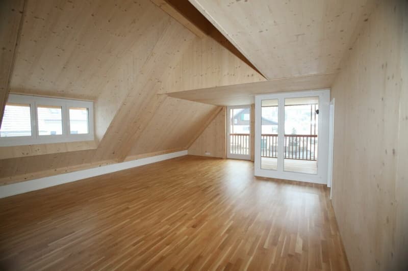 Grosszügige und heimelige Maisonettewohnung in ländlicher Idylle Kopie (6)