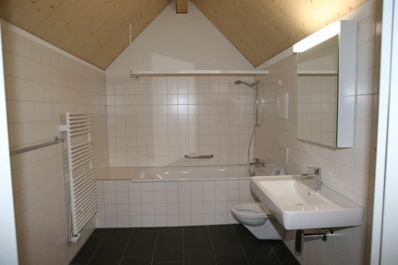 Grosszügige und heimelige Maisonettewohnung in ländlicher Idylle Kopie (11)
