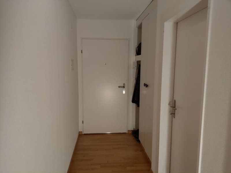 Neu sanierte ruhige Wohnung im 2. OG (2)